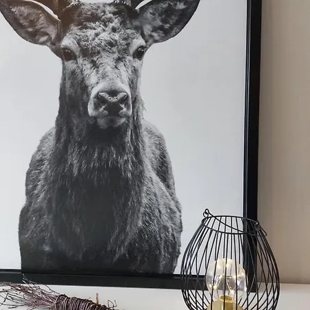 Apartament Schloepe God